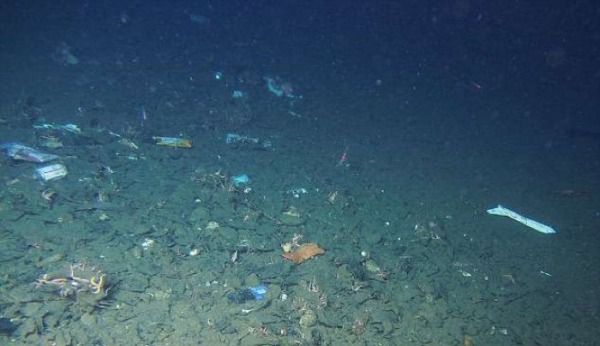 В Маріанській западині знайшли пластиковий пакет. Сміття падає в глибоководні області океану.