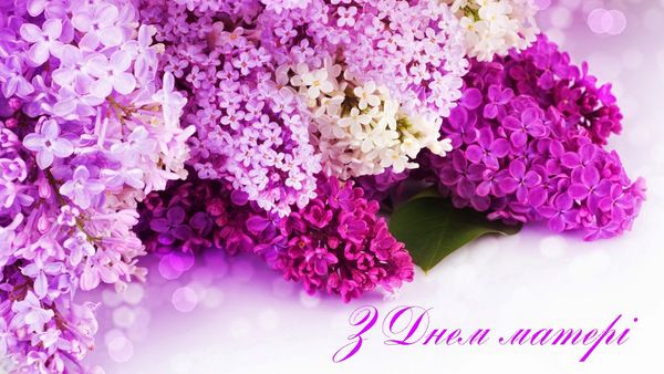 13 травня 2018 в Україні відзначають світле і ніжне свято - День матері: привітання у віршах. В цьому році 13 травня в Україні відзначають світле і ніжне свято - День матері.