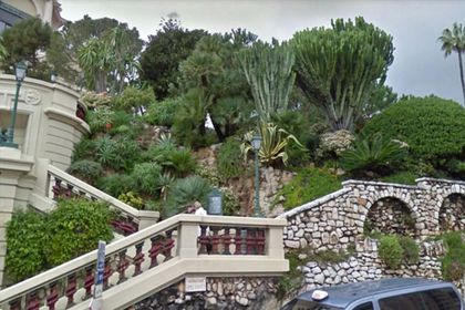 Гігантський кактус вбив відпочиваючу пенсіонерку. Інцидент стався в Монако, куди 92-річна жінка приїхала відпочити.