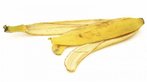 Бананова шкірка - несподівані способи її використання. Бананова шкірка, як зазвичай це буває після з'їденого смачного банана, виявляється в сміттєвому відрі.