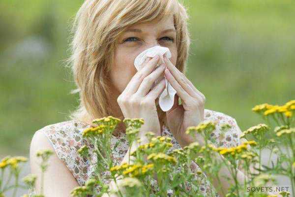 Фахівці назвали продукти, які полегшують ознаки алергії. Існують продукти, які здатні пом'якшити прояви алергії.