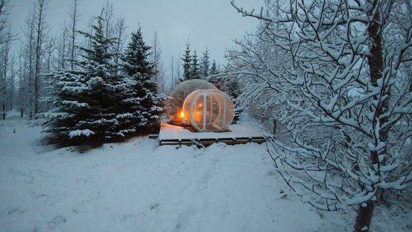 В Ісландії можна спати в таких "міхурах" і дивитися на ліс і північне сяйво. Це не екстрим, а готель в Ісландії.