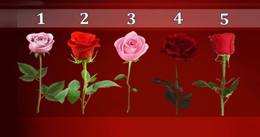 Виберіть троянду і дізнайтеся, коли збудеться Ваше бажання!. Перед вами п'ять троянд,загадайте бажання і виберіть одну з них.