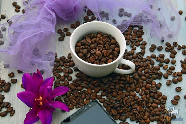 5 незвичних способів використання кави, які вам обов'язково знадобляться