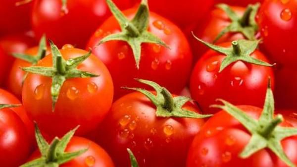 Найбільший український виробник томатної пасти компанія Agrofusion має намір відкрити томатну фабрику у Миколаївській області. В планах виробника  виростити і переробити 750 тис. тонн томатів.