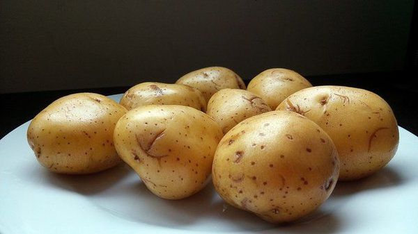 В Україні різко обвалилася ціна на ранню картоплю. Фермери несуть величезні втрати.
