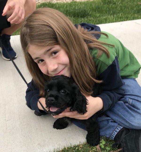 Дівчинка перегладила сотні собак і прославилася. Дев'ятирічна дівчинка Гідеон Кідд (Gideon Kidd) прославилася в інтернеті завдяки фотографіям з собаками різних порід.
