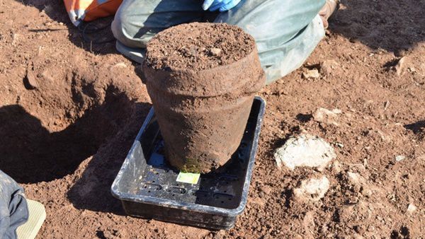 В Англії знайшли кремовані останки, яким 4 тисячі років. Тепер фахівці планують з'ясувати вік і стать померлого.