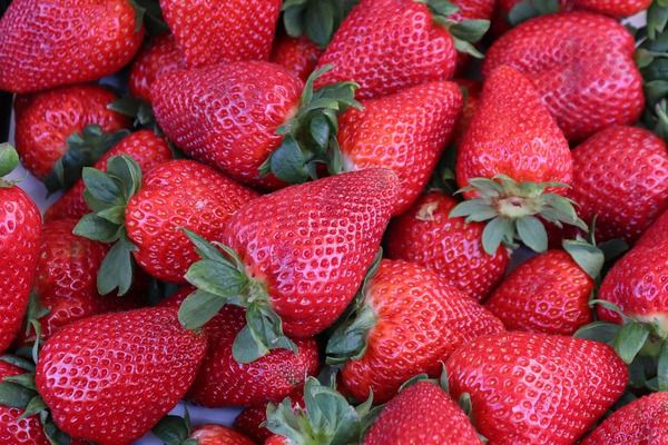 Причини з'їсти полуницю -  у чому користь ягоди!. Полуниця є однією з найпопулярніших ягід у світі – вона багата різноманітними антиоксидантні та вітаміни.