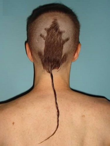 Не бранися з перукарем:15 адових зачісок. Коли похід до перукарні не задався...