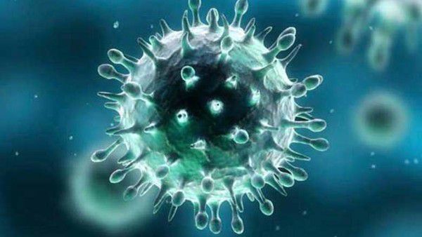 Смертельний вірус активувався в Індії. ВООЗ говорить про можливу глобальної епідемії.