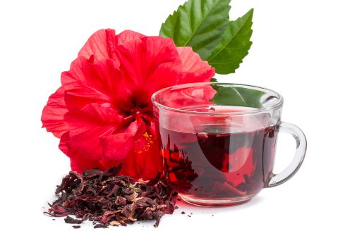 Що таке гібіскус? Ось все, що вам потрібно знати. Чому гібіскусовий чай корисний і популярний? Дізнайтесь більше про його властивості!