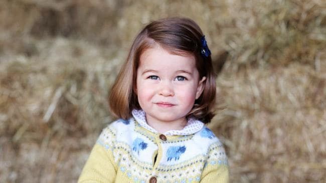 Принцеса Шарлотта повторила дитячу витівку принца Гаррі. Копія.