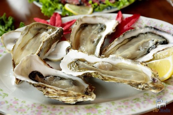 у франції забороняють устриці і молюски: в морі дуже багато токсинів!