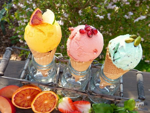Медики розповіли, яке морозиво можна їсти без шкоди для здоров'я. Як тільки закінчується весна, попит на смачне морозиво різко підвищується.