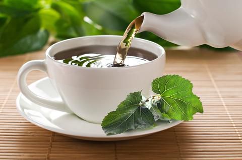 Чай з листя шовковиці має в 22 рази більше кальцію, ніж коров'яче молоко. Чим ще корисна шовковиця?