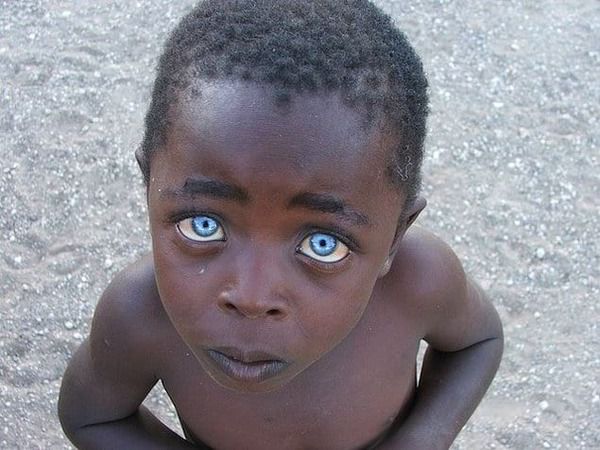 Очі - це вікно до мозку: вчені пояснюють, як колір очей впливає на поведінку людей. Дослідження показало, що поведінка людей дуже пов'язана з кольором їхніх очей.