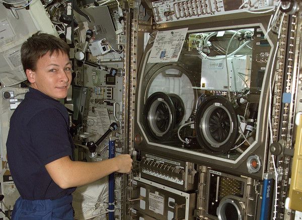 Американська астронавт поскаржилася на російський туалет на МКС. Російський туалет виявився дуже незручним.