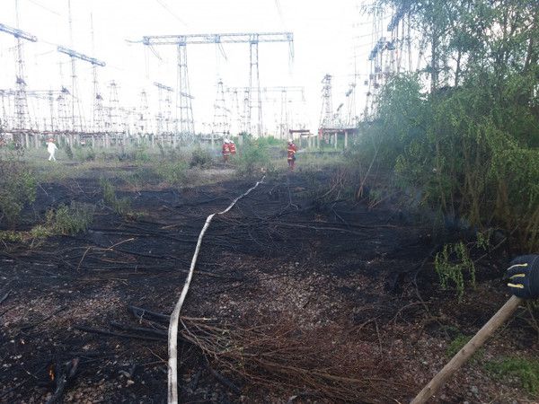 У Чорнобильській зоні горить трава. У Київській області рятувальники гасили пожежу.