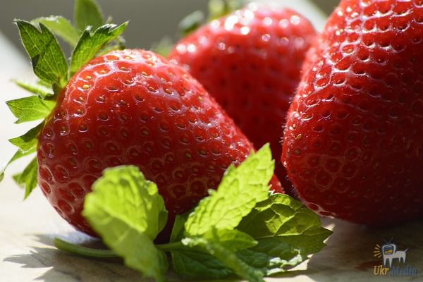 Вчені назвали саму корисну ягоду. Потрібно їсти 450 грамів цієї ягід щодня, кажуть експерти.