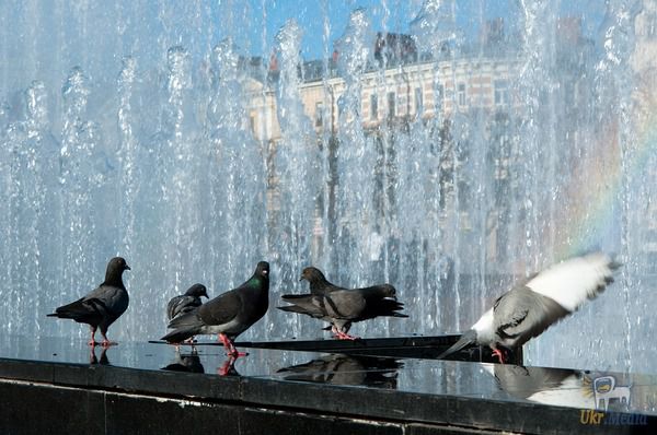 Прогноз погоди в Україні на 31 травня: спекотно і сухо. 31 травня, погоду в Україні буде визначати сухе і тепле повітря.