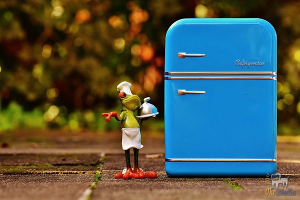 4 ознаки гарного автохолодильника. Як вибрати холодильник в машину?