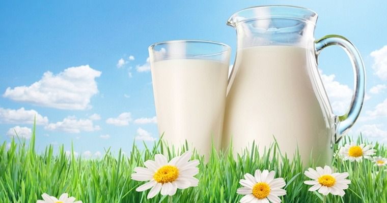 1 червня - Всесвітній день молока. Молоко та молочні продукти — обов'язкова складова здорового харчування та здорового способу життя.