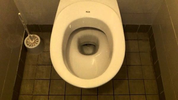 Розповідаємо, чому в американських туалетах немає і не було йоржиків. Цікава особливість!