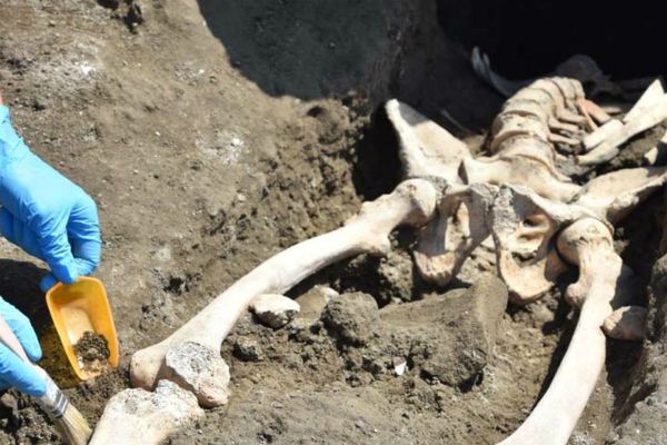 Археологи знайшли самого невдачливого людини в історії. Мабуть, найневезуча в історії людина жила в Помпеях і тепер це офіційно.
