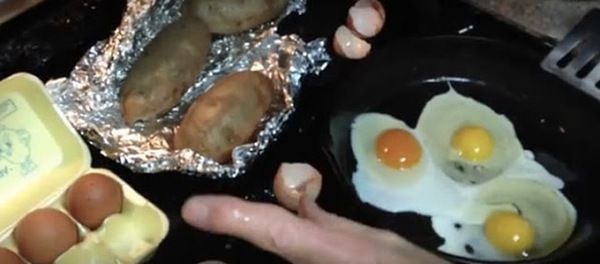 Яке з цих яєць знесла здорова курка?. Я раніше цього не знав!