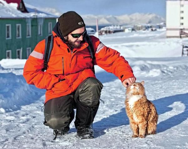 Джеймс Кіт: чому єдиний кіт Шпіцбергена ховається під чужими документами. Життя самотнього кота з Крайньої Півночі.