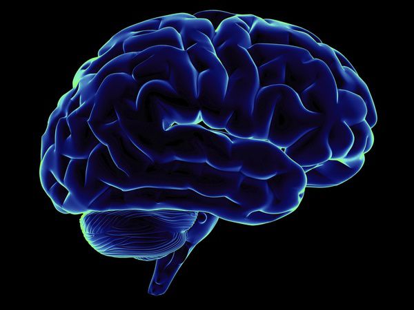 Біологи створили молекулу що руйнує мозок. Молекули викликають великі пошкодження головного мозку.