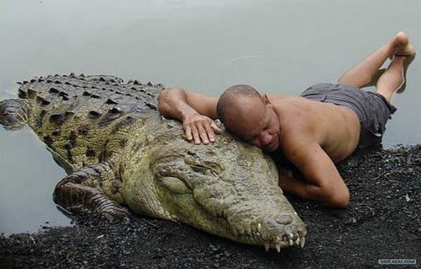 Фантастична дружба людини і крокодила!.  Чіто і Почо.