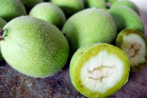 Зелені волоськи горіхи є у кожного в саду, але про їх цілющі властивості мало хто знає. Середина червня - найкраща пора для збору врожаю, не пропусти!