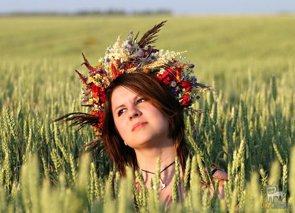 Народні прикмети на 11 червня – День Феодосії Колосятниці і чому потрібно було співати пісні. Вважалося, що в цей час наливається жито і починає цвісти колос.