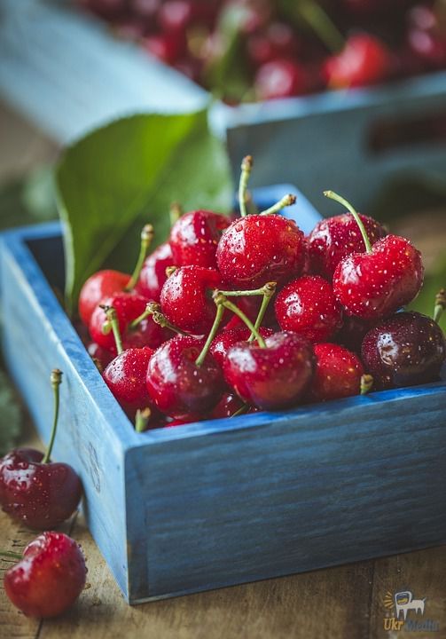 Скидаємо 5 кг за тиждень за допомогою черешні. Смачні і корисні фрукти, які можуть допомогти тобі схуднути без докладання зусиль. Черешня, яка творить дива.