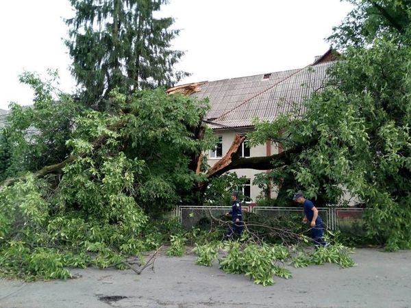 Величезний град, затоплення вулиці і повалені дерева. Фото наслідків негоди на Західній Україні. 12 червня на Західній Україні пройшли зливи, що супроводжувалися сильним вітром, а місцями і великим градом.