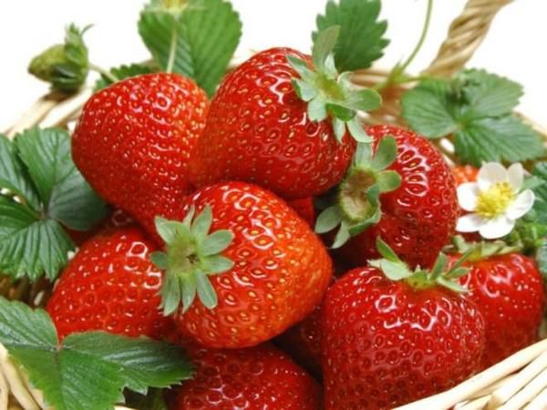 Дещо новеньке про спокусливу ягоду. Корисні не лише свіжі ягоди полуниці, але і чашолистки, які ми звикли бездумно викидати.
