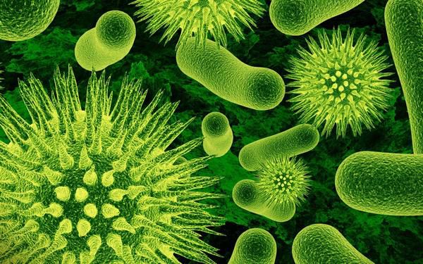 Медики підказали, як довго бактерії і віруси живуть в приміщенні. На кожному квадратному сантиметрі шкіри можна знайти до 100 тисяч мікроорганізмів.