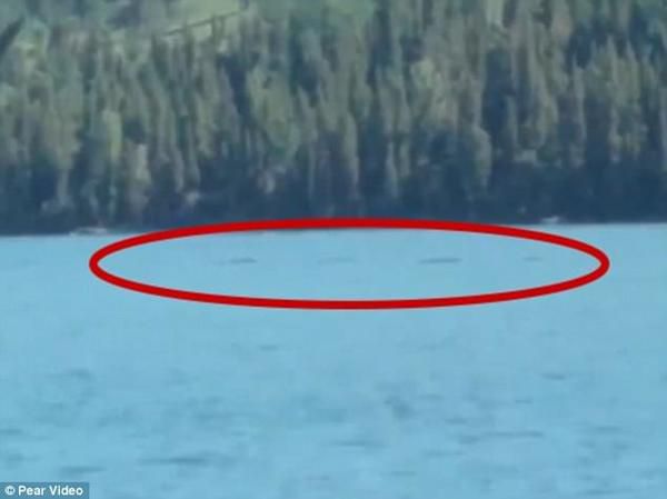 У китайському озері зняли загадкову істоту, яка схожа на лох-несське чудовисько з Шотландії. У озрі Канас плаває невідома тварина.