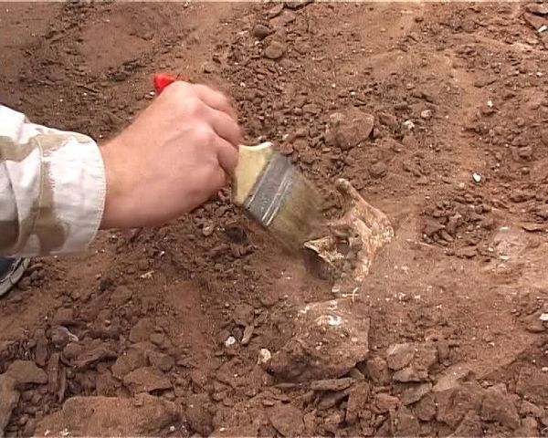 В Грузії знайшли артефакти епохи раннього залізного віку. Грузинські археологи під час розкопок в місті Телаві (регіон Кахеті) знайшли артефакти епохи раннього залізного віку та інших епох.