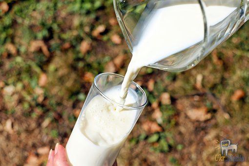 В Україні зафіксовано 13 випадків "радіоактивного молока". Держпотребслужба визнала поодинокі випадки перевищення вмісту цезію-137 у деяких молочних продуктах.