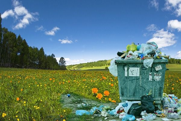 Які речі не слід викидати у відро для сміття і чому. Це логічно і природно, що використані або зломані речі відправлялися туди, де їм саме місце, тобто у відро для сміття.