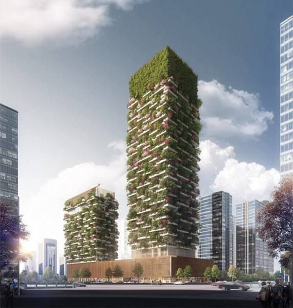Фантастичний «вертикальний ліс» в Азії. Неймовірний архітектурний комплекс для поліпшення якості кисню в мегаполісах. У 2018 році в китайському місті Нанкін буде закінчено будівництво «Вертикального лісу», автором якого є італійський архітектор Стефано Боері.