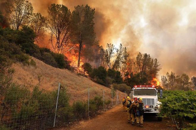 Лісову пожежу у Каліфорнії гасять 3 тис. пожежників. Вогонь загрожує сотням житлових будинків.