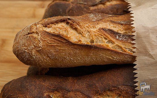 Пекарі навчилися пекти  чудодійний хліб. Хліб містить потужний антиоксидант з кореня модрини.