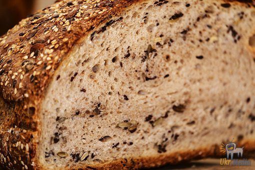 В Україні скоротилося виробництво хліба. Україна майже на 9% зменшила виробництво хліба.