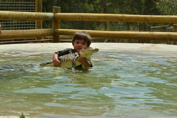 Хлопчик, який живе з крокодилами і іншими рептиліями. Чарлі проводить весь вільний час, доглядаючи за зміями і крокодилами!