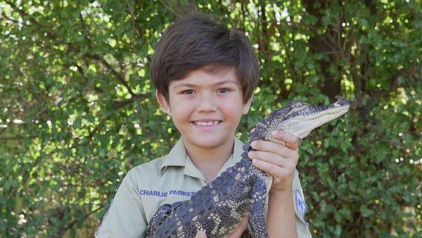 Хлопчик, який живе з крокодилами і іншими рептиліями. Чарлі проводить весь вільний час, доглядаючи за зміями і крокодилами!