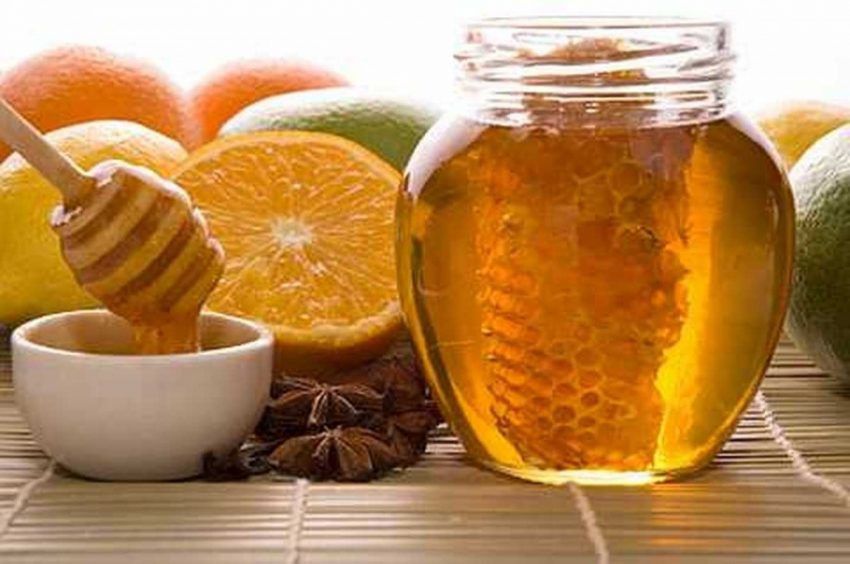 Який мед і при яких захворюваннях допомагає?. Який мед купити і від якої хвороби він корисний?